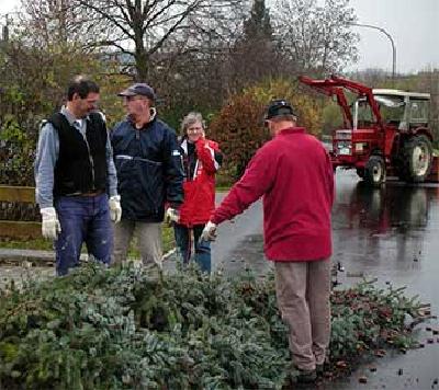 Die Reste des Kerwabaumes 2006